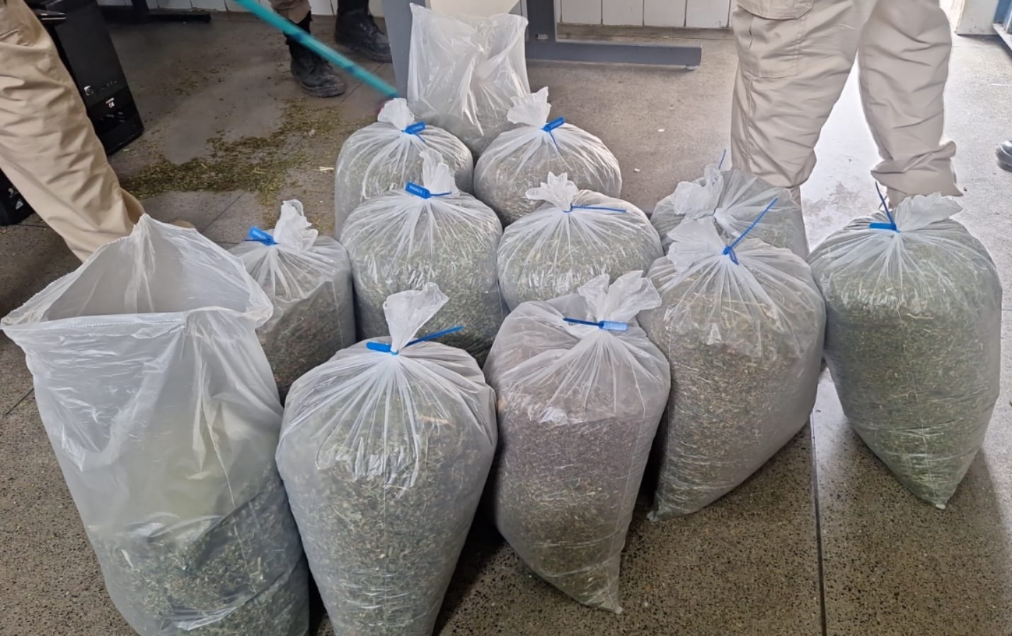 Operação prende advogado investigado por crimes na Bahia