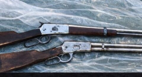 Imagem do post PM apreende carabinas e drogas na Gamboa, em Salvador