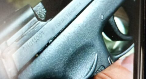 Imagem do post Homem é preso com pistola em Portal de Abordagem do Carnaval