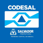 Codesal alinha ações para o Carnaval 2026