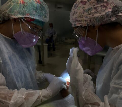 Imagem do post Atendimento odontológico gratuito ganha horário noturno em Salvador