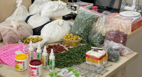 Imagem do post PM desmonta laboratório de drogas sintéticas em Lauro de Freitas