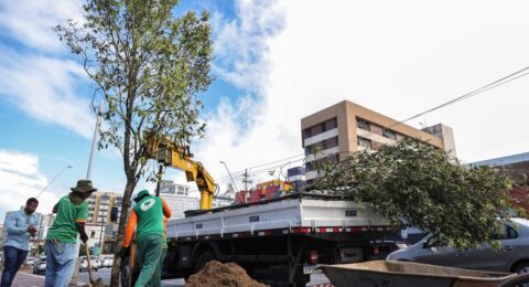 Imagem do post Salvador entra em rede global de cidades verdes