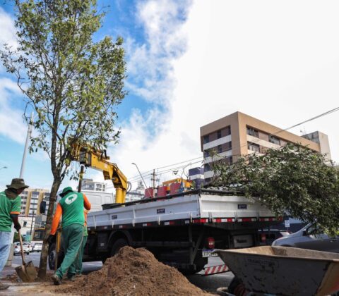 Imagem do post Salvador entra em rede global de cidades verdes