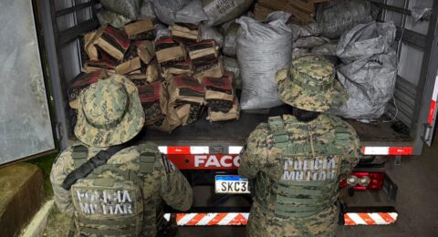 Imagem do post PM apreende 7,5 toneladas de carvão vegetal ilegal