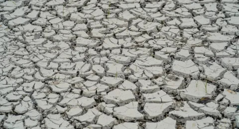 Imagem do post Governo decreta emergência por seca em 15 cidades do Nordeste