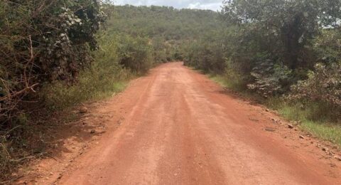 Imagem do post Chapada Diamantina terá nova rodovia asfaltada na BA-245