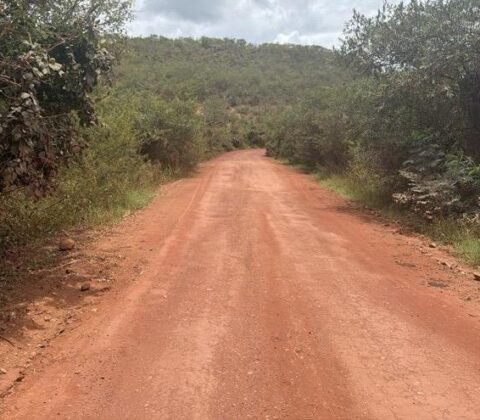 Imagem do post Chapada Diamantina terá nova rodovia asfaltada na BA-245