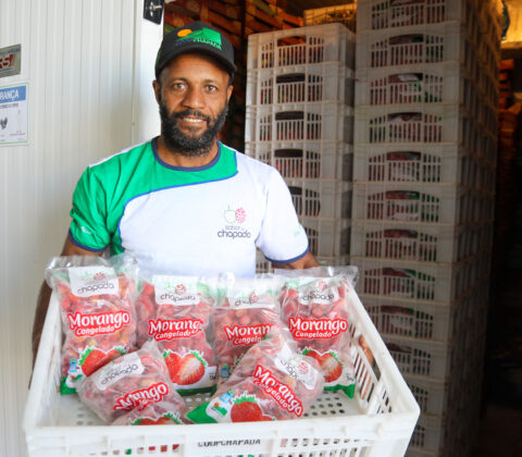 Imagem do post Frutas vermelhas impulsionam renda de famílias em Mucugê
