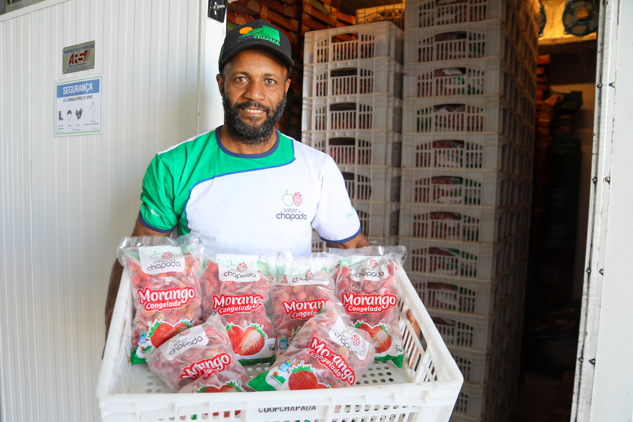 Frutas vermelhas impulsionam renda de famílias em Mucugê