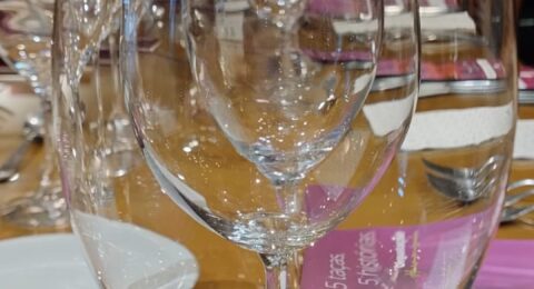 Imagem do post Degustação harmonizada antecipa clima do Bahia Vinho Show