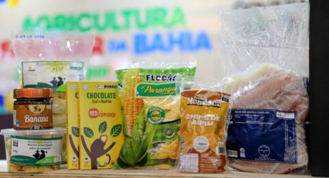 Imagem do post Agricultura familiar da Bahia aposta em novos mercados na Naturaltech e Biofach