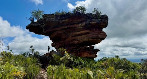 Imagem do post Junho Ambiental terá investimentos de R$ 49,8 milhões na Bahia
