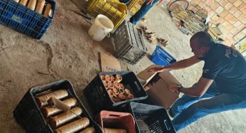 Imagem do post Polícia Civil alerta: uso de espadas segue proibido na Bahia