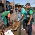 Salvador amplia arborização com programa Plante no Passeio
