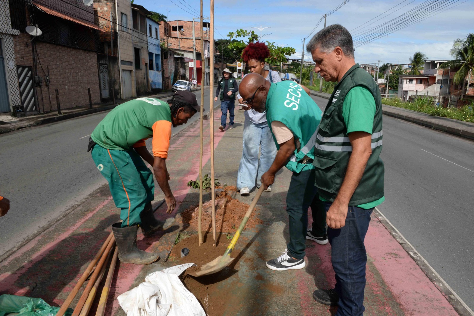 Imagem do post Salvador amplia arborização com programa Plante no Passeio