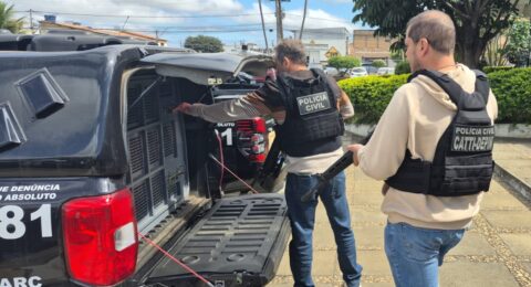 Imagem do post Foragido por homicídio em SP é preso em Vitória da Conquista