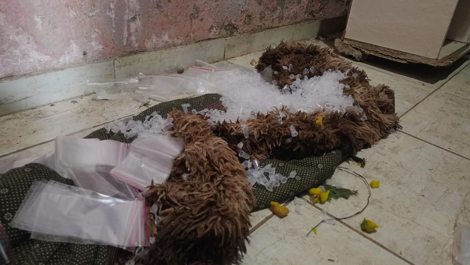 Operação Maní apreende drogas e prende homem em Feira