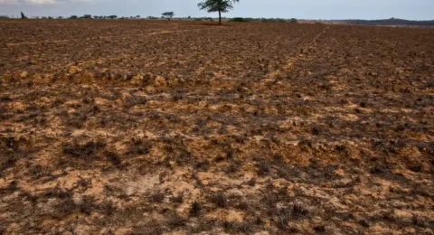 Imagem do post Secas avançam no Brasil e preocupam especialistas