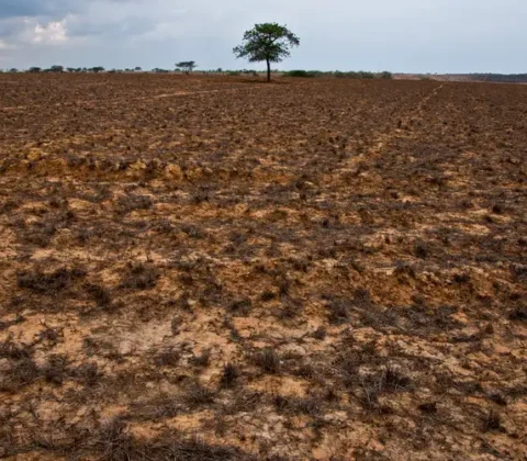 Imagem do post Secas avançam no Brasil e preocupam especialistas