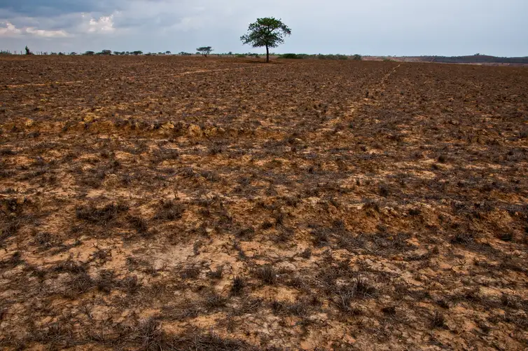 Secas avançam no Brasil e preocupam especialistas