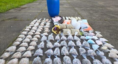 Imagem do post PM apreende drogas, munições e carregadores após ação em Valéria