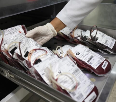 Imagem do post Hemoba reforça doação de sangue na Bahia neste sábado