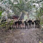 PM encontra 48 kg de cocaína escondidos em manguezal