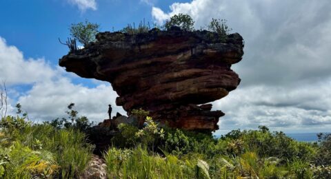 Imagem do post Serra da Chapadinha ganha área protegida de 18,3 mil hectares
