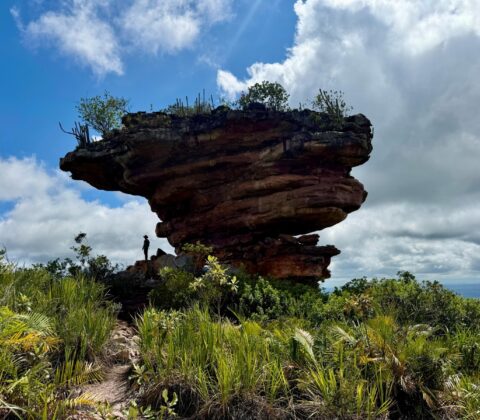 Imagem do post Serra da Chapadinha ganha área protegida de 18,3 mil hectares