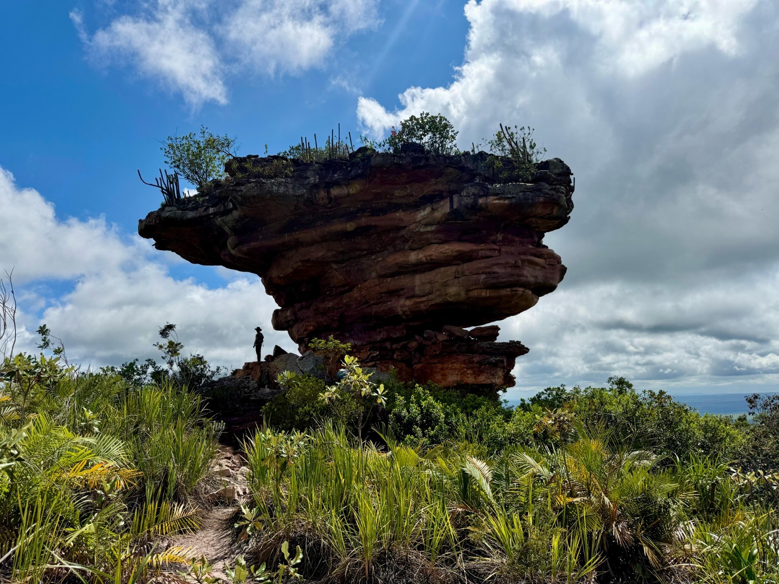 Serra da Chapadinha ganha área protegida de 18,3 mil hectares