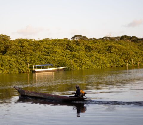 Imagem do post Exposição no MAB mostra a Bahia pelo olhar de autistas