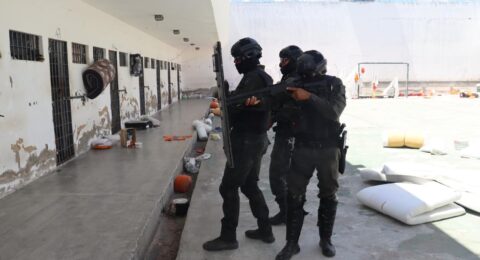 Imagem do post Operação MUTE faz varredura no presídio de Paulo Afonso