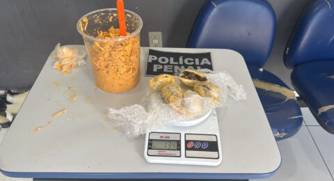 Imagem do post Mulher é presa com drogas escondidas em estrogonofe na Bahia