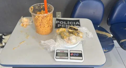 Imagem do post Mulher é presa com drogas escondidas em estrogonofe na Bahia