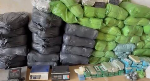 Imagem do post Bahia apreende 16 toneladas de drogas em 2026