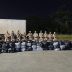 PM apreende 1 tonelada de maconha em Simões Filho